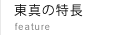 東真の特長