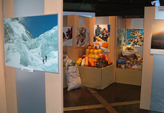 野口健展示会